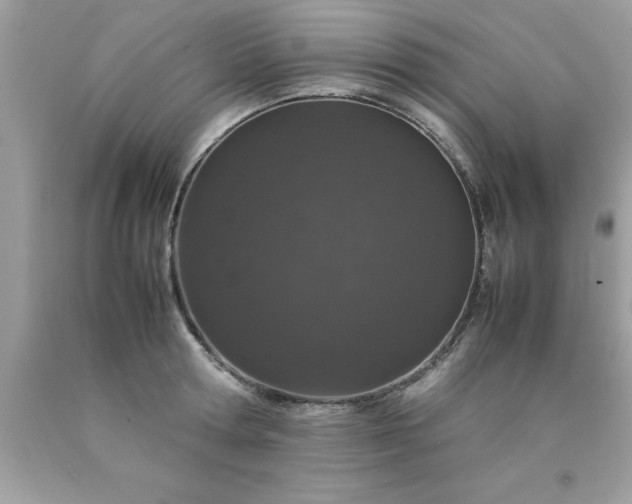 X0000090470802200707272257