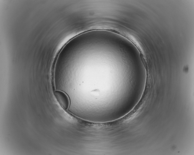 X0000090470803200707272257