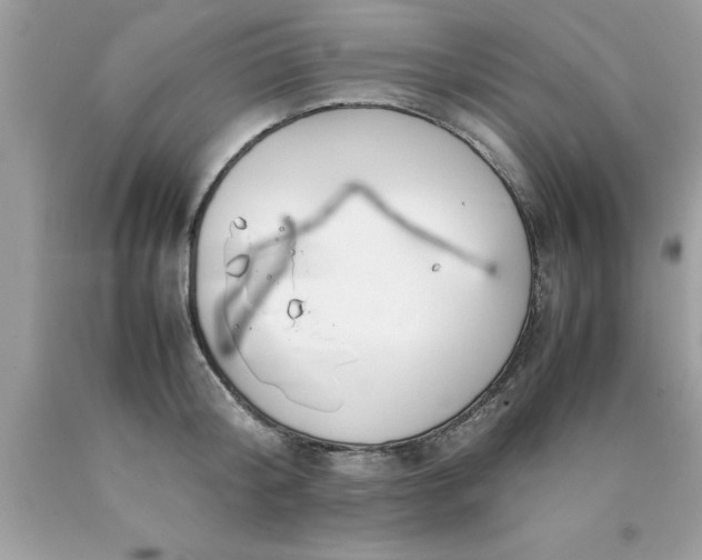 X0000090470804200707272257