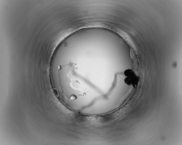 X0000090470805200707272257