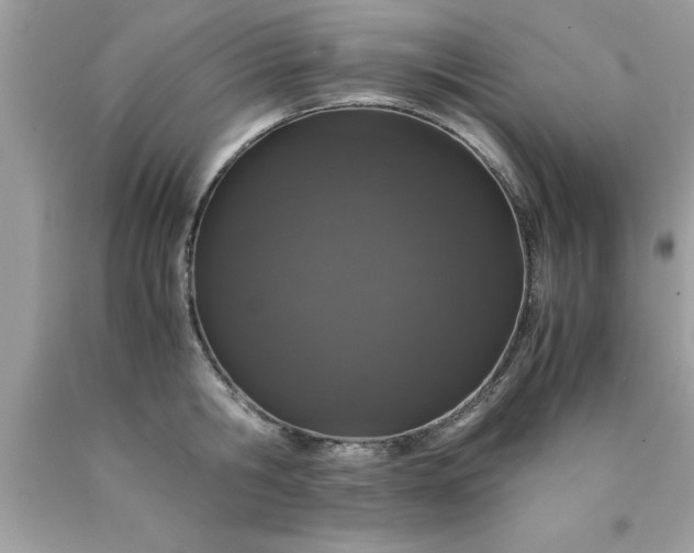 X0000090470806200707272257