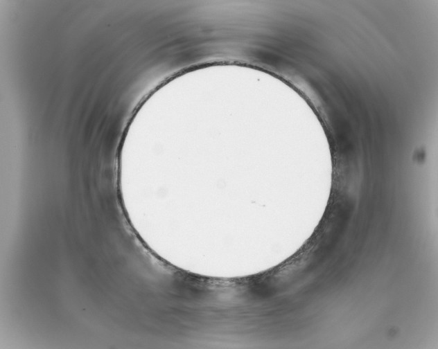 X0000090470807200707272257