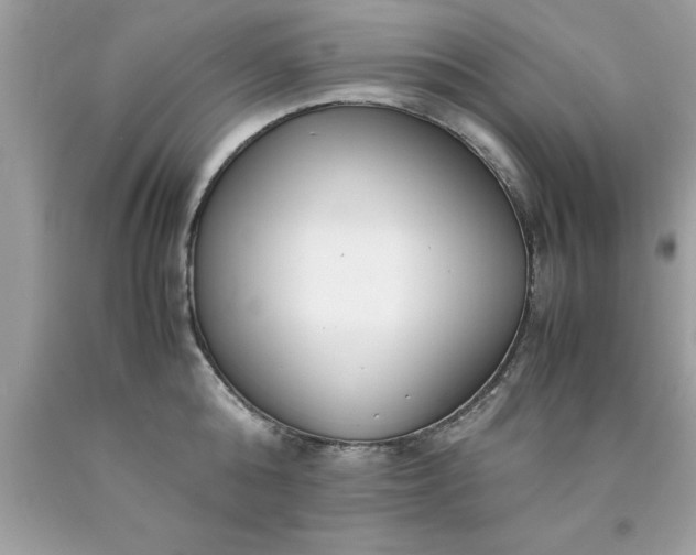 X0000090470808200707272257