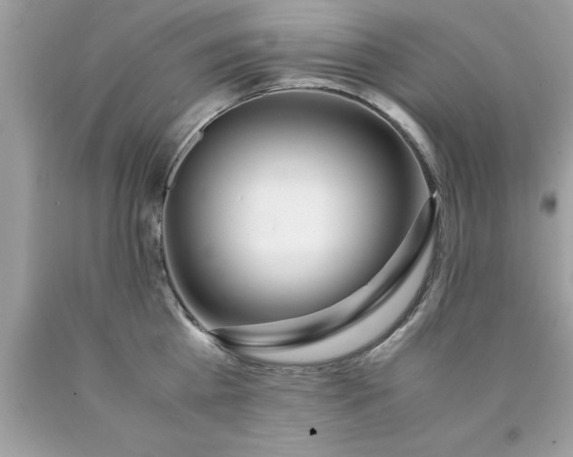 X0000090470809200707272257