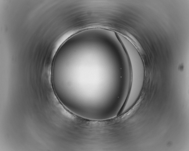 X0000090470812200707272257