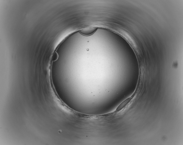 X0000090470814200707272257