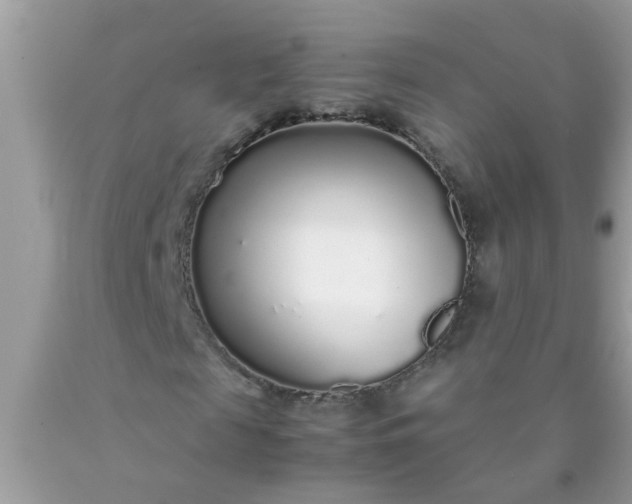 X0000090470817200707272256