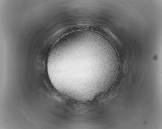 X0000090470821200707272256