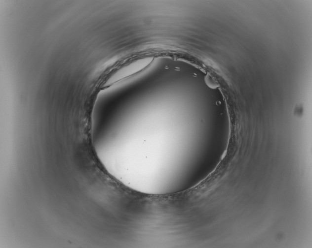 X0000090470822200707272256