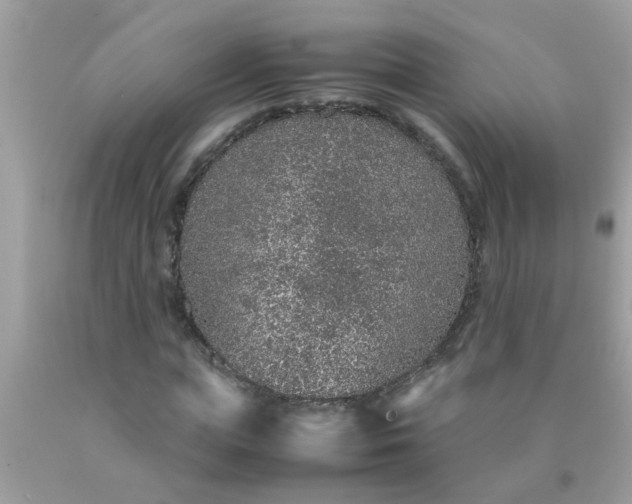 X0000090470823200707272256