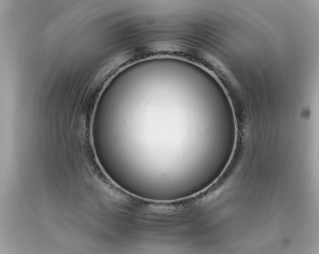 X0000090470825200707272256