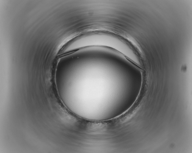 X0000090470826200707272256