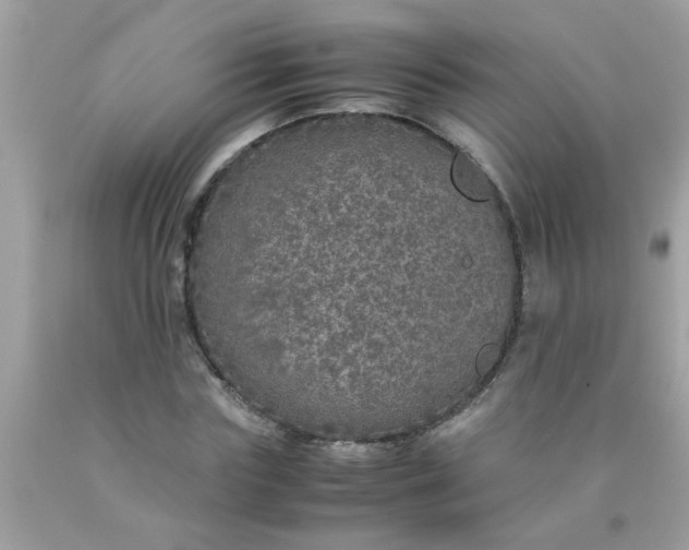 X0000090470827200707272256