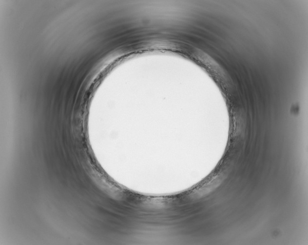 X0000090470828200707272256