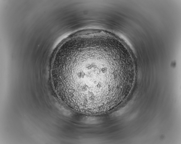 X0000090470829200707272256