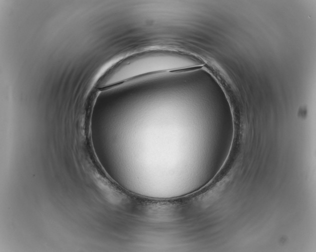 X0000090470830200707272256