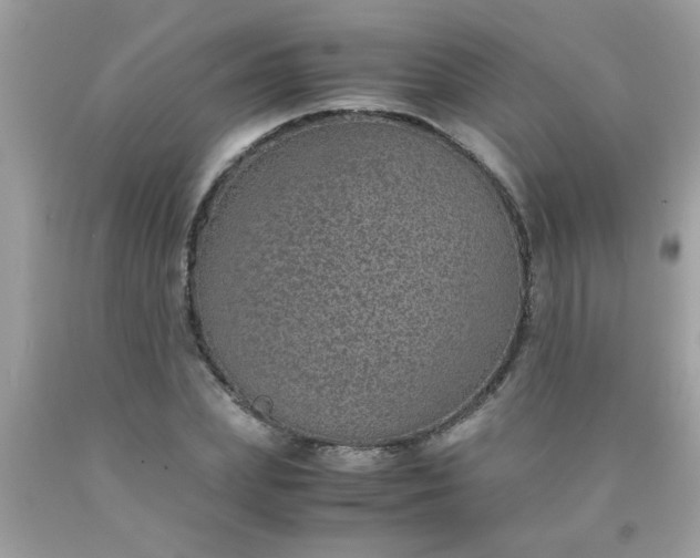 X0000090470831200707272256