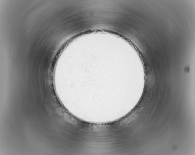 X0000090470832200707272256