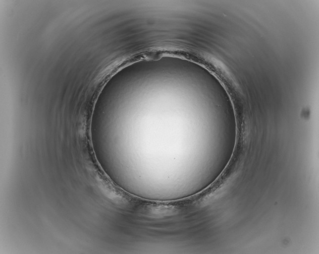 X0000090470833200707272256