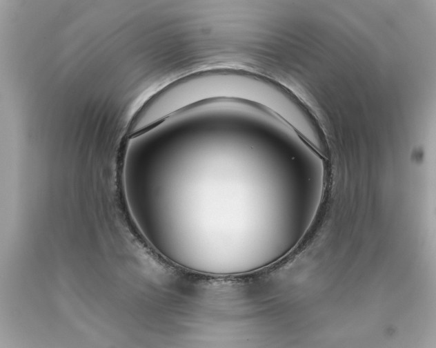 X0000090470834200707272256