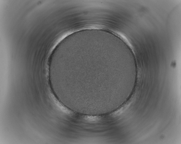 X0000090470835200707272257