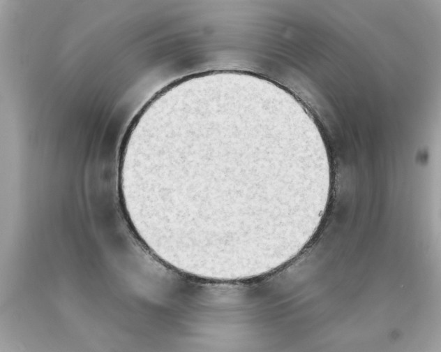 X0000090470836200707272257