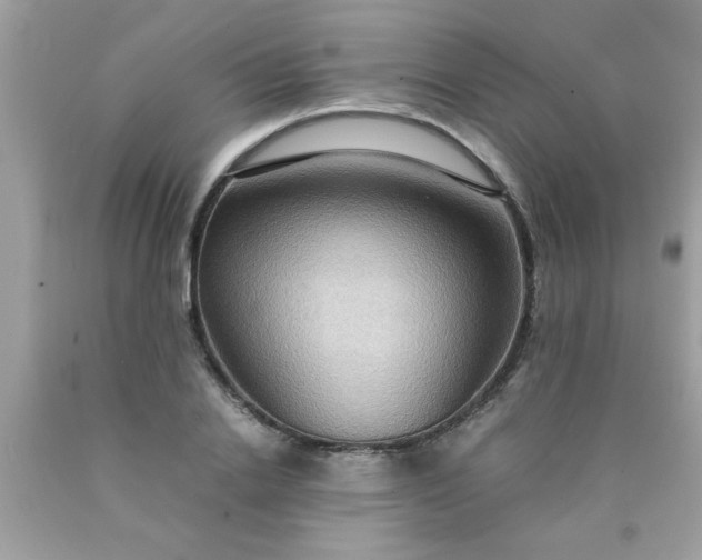 X0000090470838200707272257