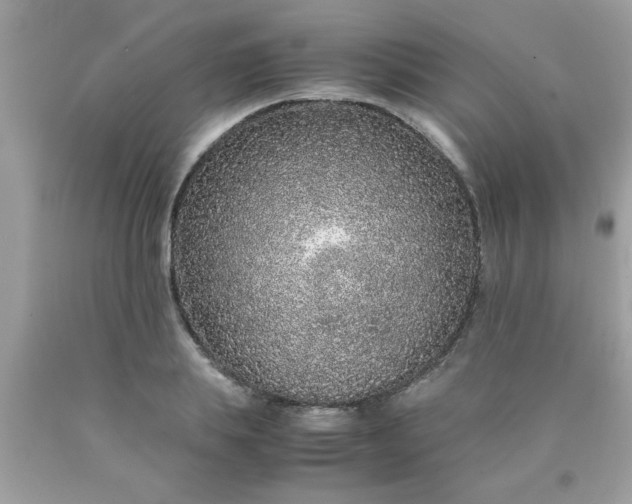 X0000090470839200707272257