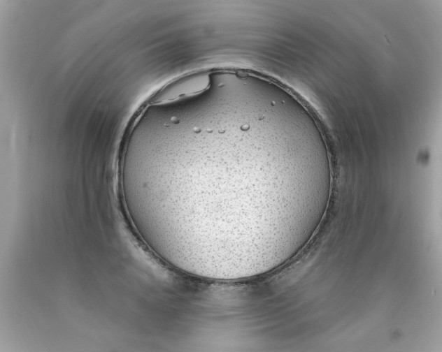 X0000090470840200707272257