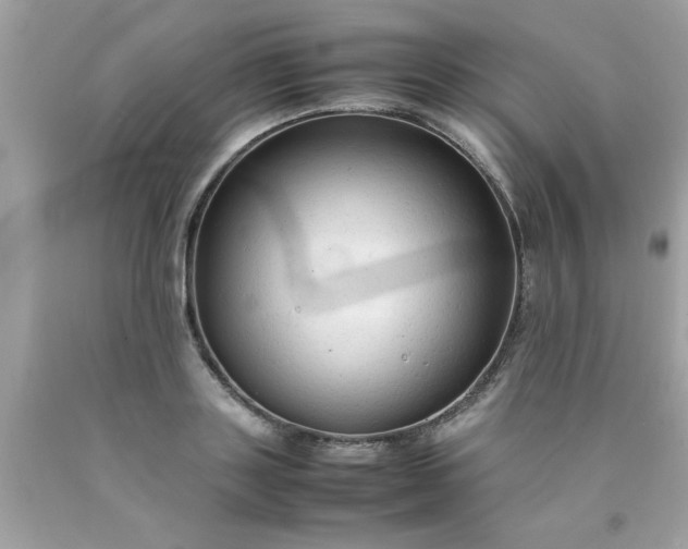 X0000090470843200707272257