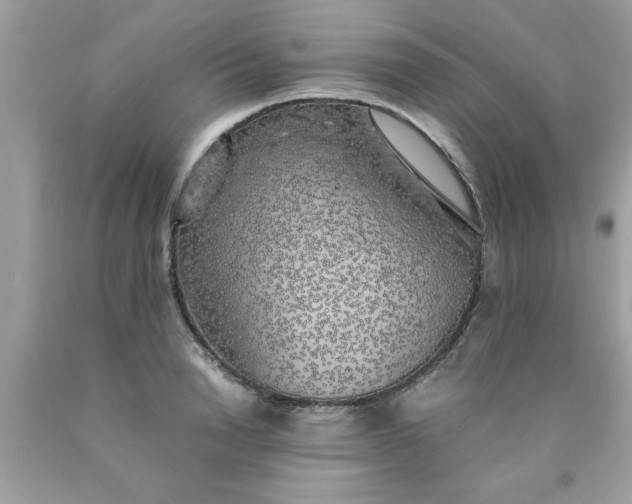 X0000090470846200707272257