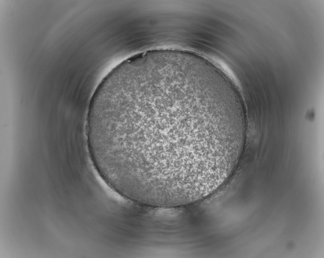 X0000090470847200707272257