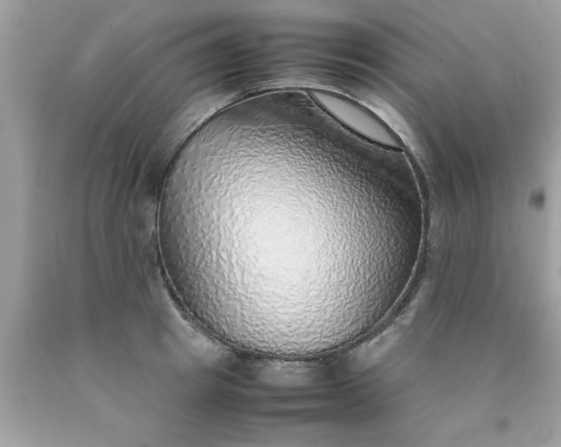 X0000090470849200707272257