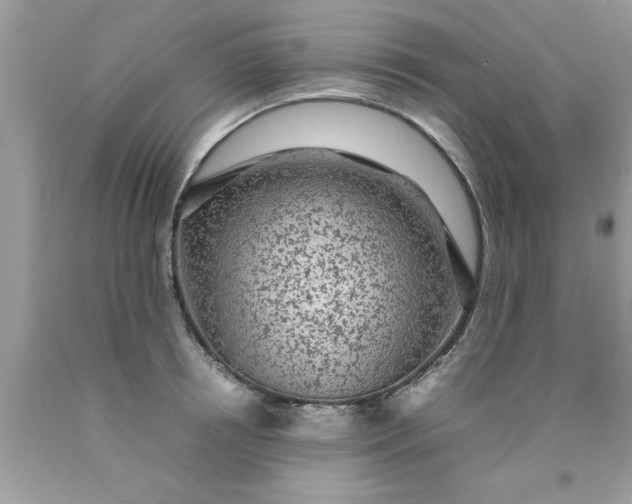 X0000090470850200707272257