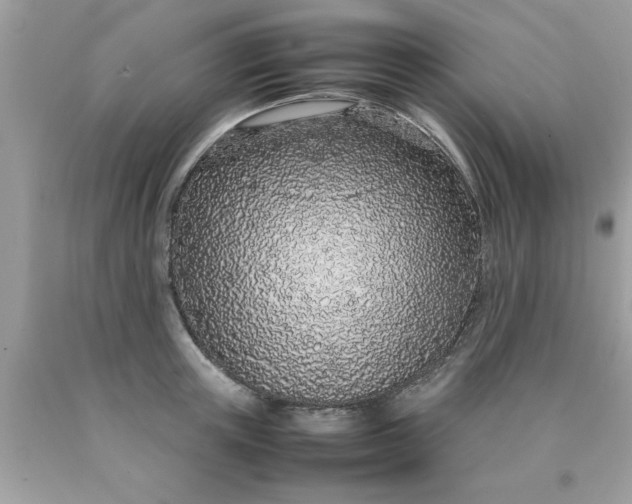 X0000090470851200707272257