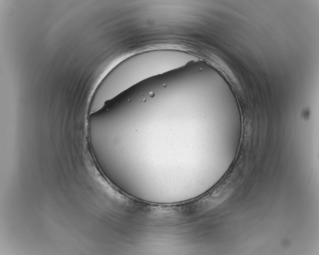 X0000090470852200707272257