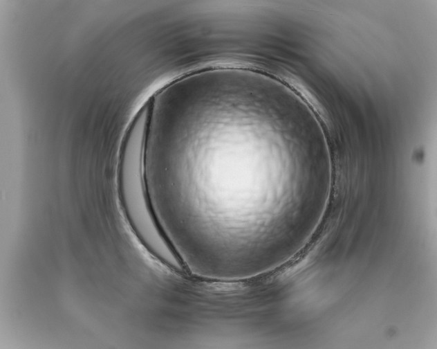 X0000090470853200707272257