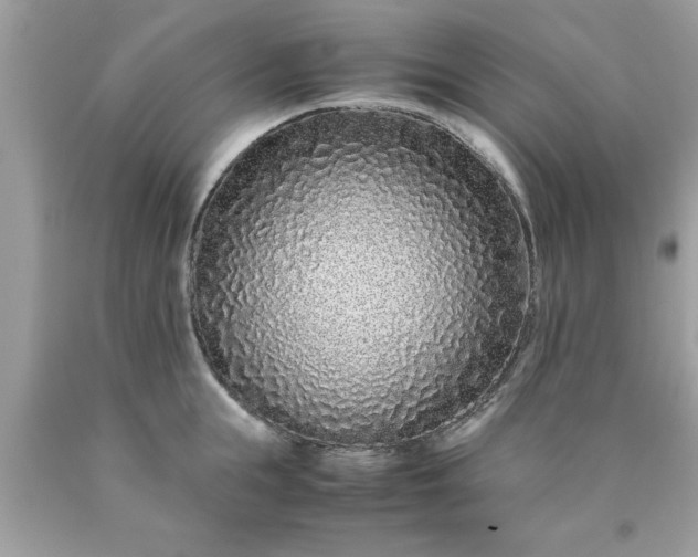 X0000090470855200707272257