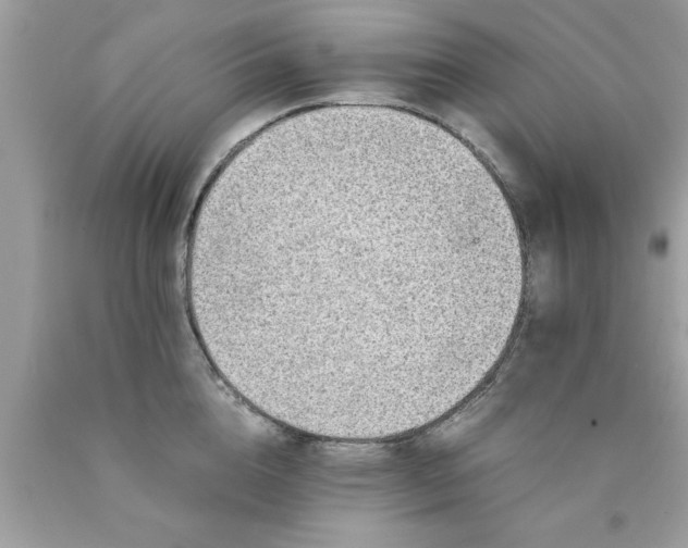 X0000090470856200707272257