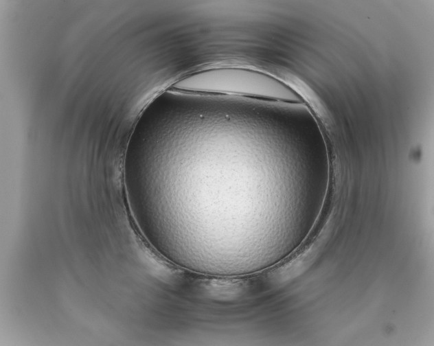 X0000090470857200707272257