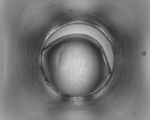 X0000090470858200707272257