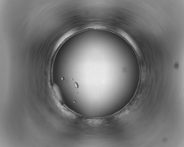 X0000090470861200707272257