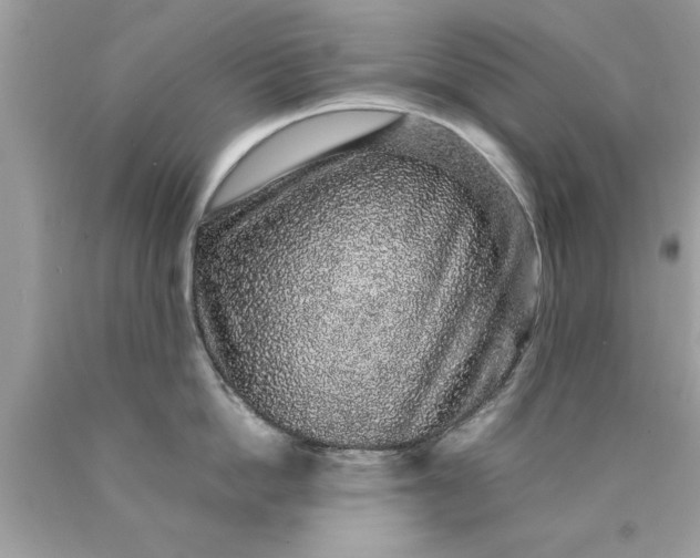 X0000090470862200707272257