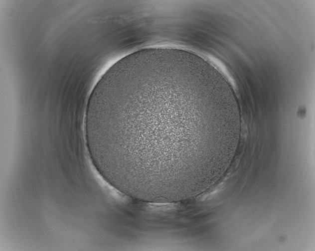 X0000090470863200707272257