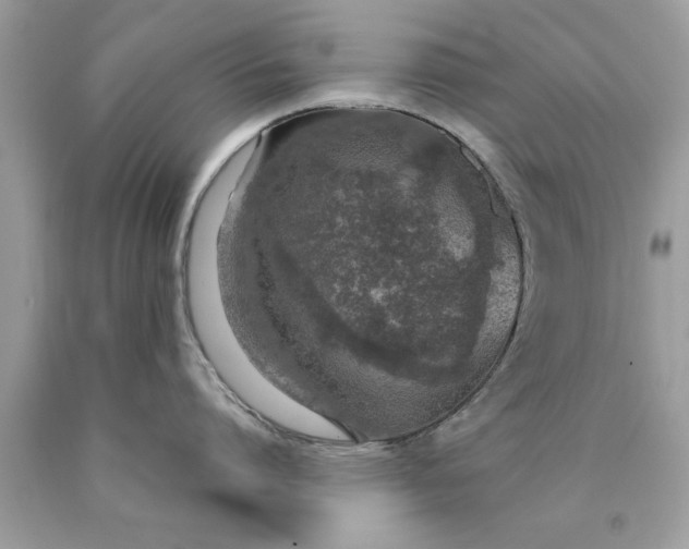 X0000090470864200707272257