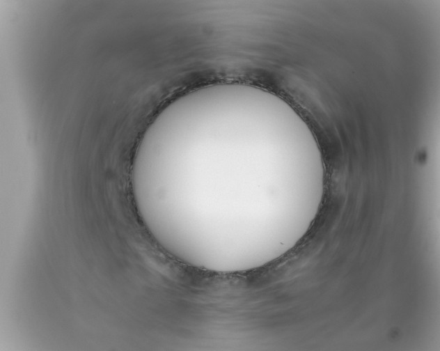 X0000090470865200707272256