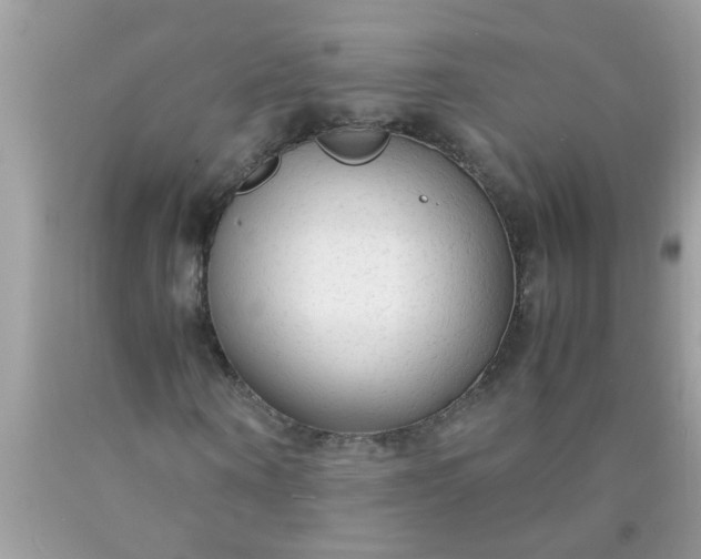 X0000090470866200707272256