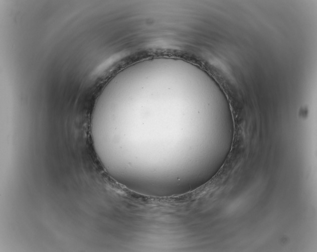 X0000090470870200707272256