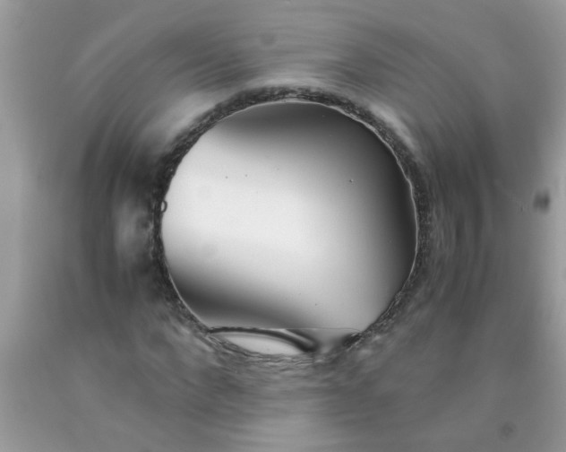 X0000090470872200707272256