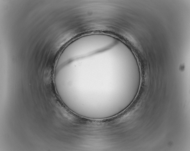 X0000090470873200707272256